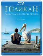 Пеликан